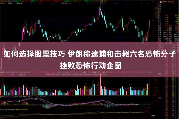 如何选择股票技巧 伊朗称逮捕和击毙六名恐怖分子 挫败恐怖行动企图